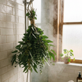 Eucalyptus Shower Bundle - Natural